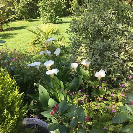 Holiday home River In Historic Vienne Moncontour (Vienne)